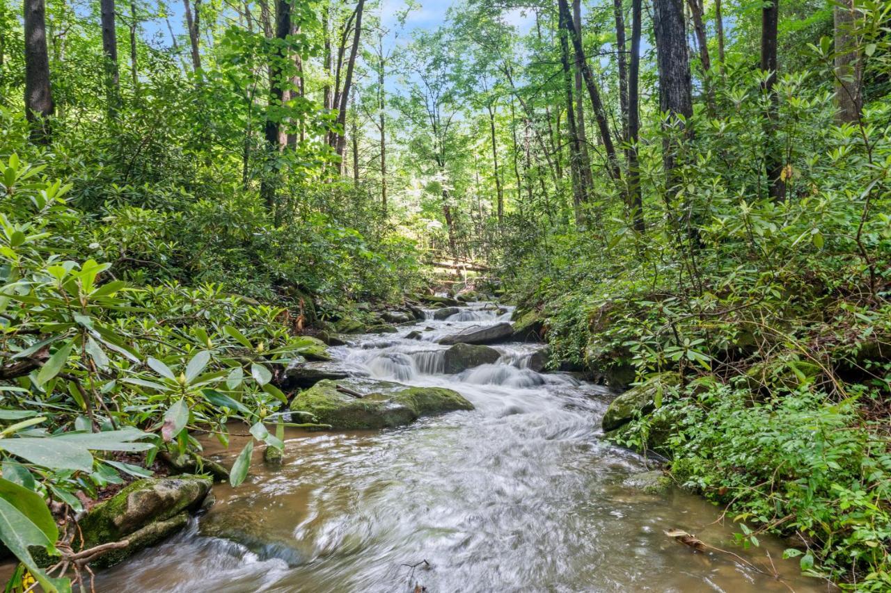 Falling Waters At Rumbling Bald Лейк Люр Екстериор снимка